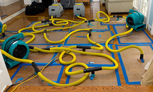 Professional Crawl Space Water Removal technician working in Parksville, SC